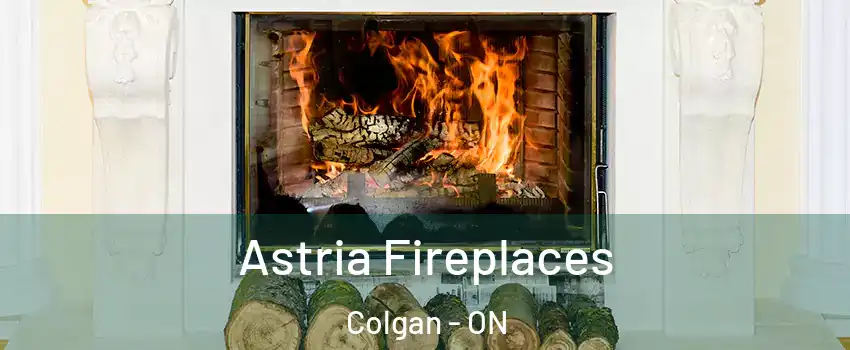  Astria Fireplaces Colgan - ON