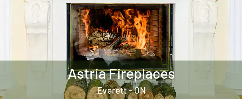  Astria Fireplaces Everett - ON