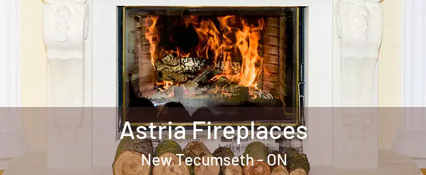  Astria Fireplaces New Tecumseth - ON