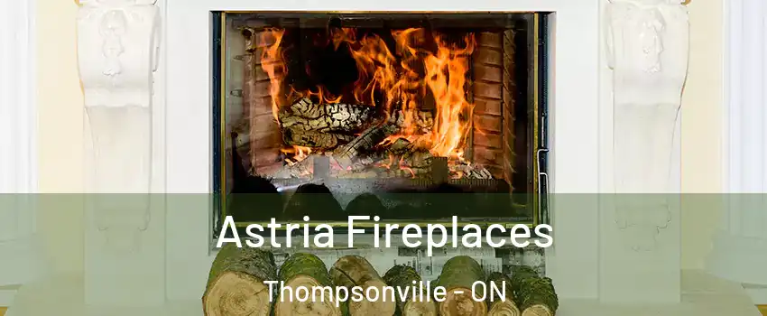  Astria Fireplaces Thompsonville - ON