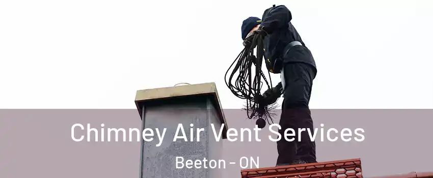  Chimney Air Vent Services Beeton - ON