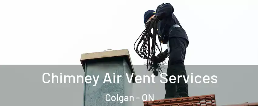  Chimney Air Vent Services Colgan - ON