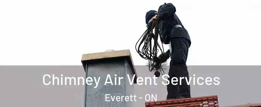 Chimney Air Vent Services Everett - ON
