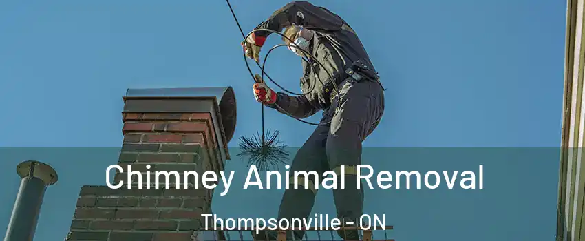 Chimney Animal Removal Thompsonville - ON
