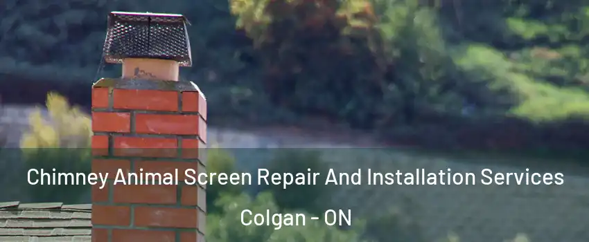  Chimney Animal Screen Repair And Installation Services Colgan - ON