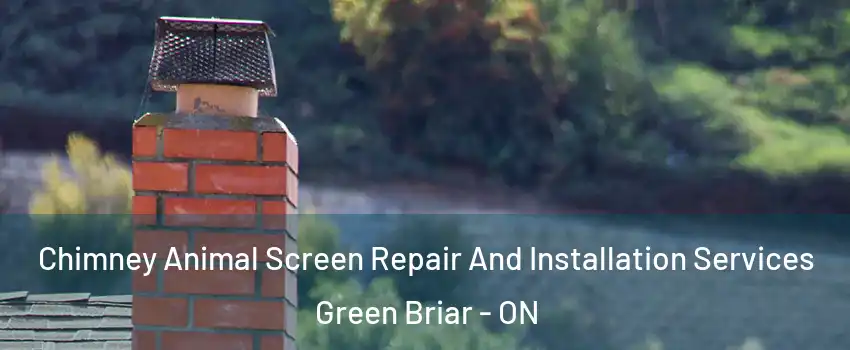  Chimney Animal Screen Repair And Installation Services Green Briar - ON