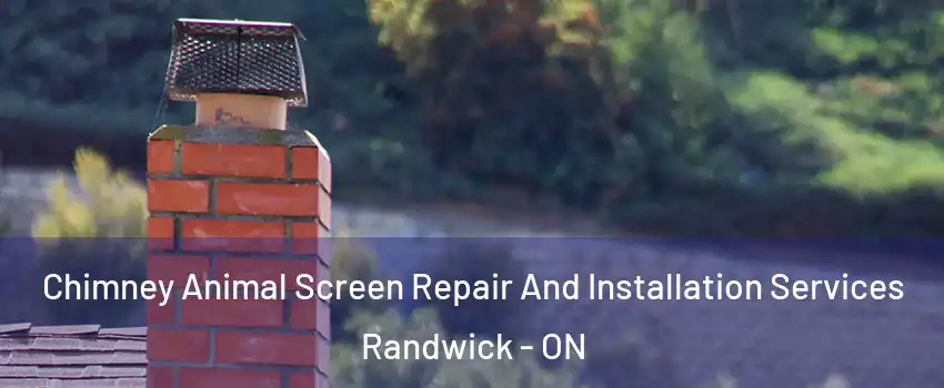  Chimney Animal Screen Repair And Installation Services Randwick - ON