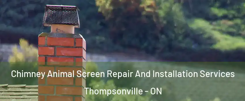  Chimney Animal Screen Repair And Installation Services Thompsonville - ON