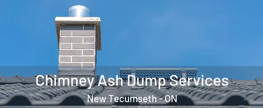 Chimney Ash Dump Services New Tecumseth - ON