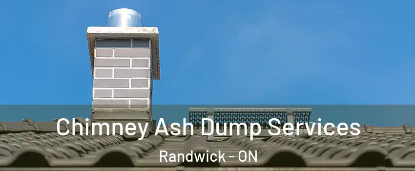  Chimney Ash Dump Services Randwick - ON