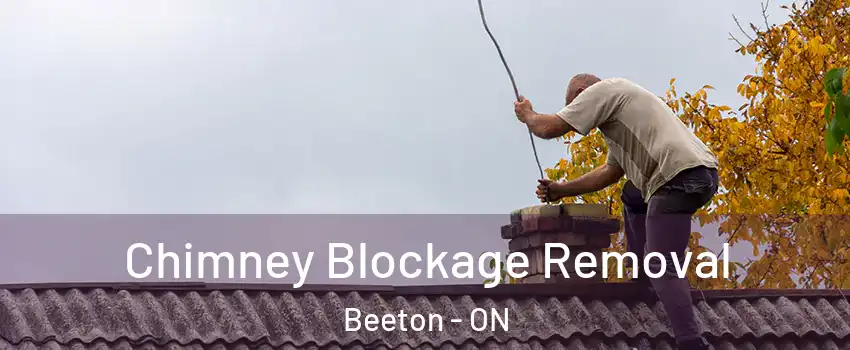  Chimney Blockage Removal Beeton - ON