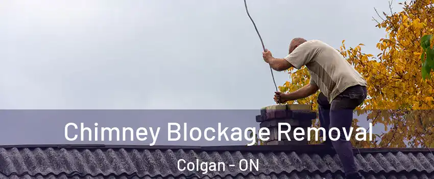  Chimney Blockage Removal Colgan - ON