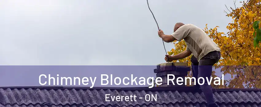  Chimney Blockage Removal Everett - ON