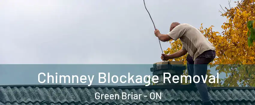  Chimney Blockage Removal Green Briar - ON