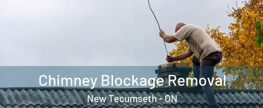 Chimney Blockage Removal New Tecumseth - ON