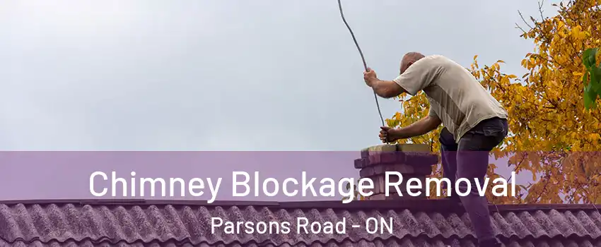  Chimney Blockage Removal Parsons Road - ON