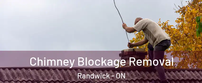  Chimney Blockage Removal Randwick - ON