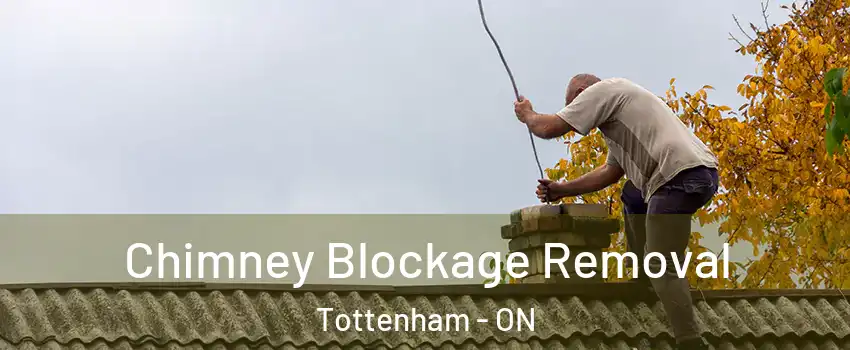  Chimney Blockage Removal Tottenham - ON