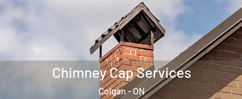  Chimney Cap Services Colgan - ON