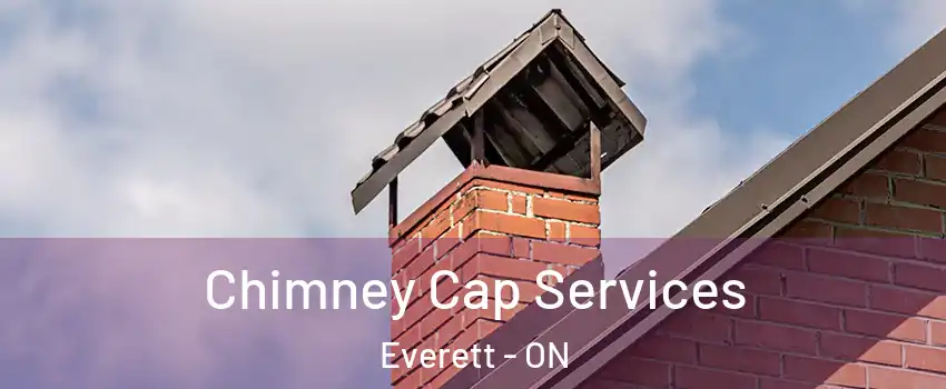  Chimney Cap Services Everett - ON