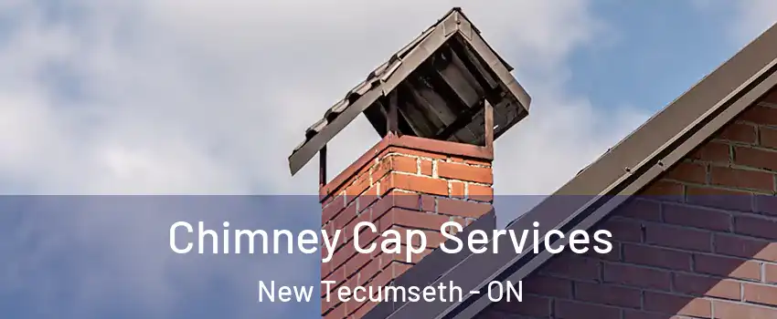  Chimney Cap Services New Tecumseth - ON