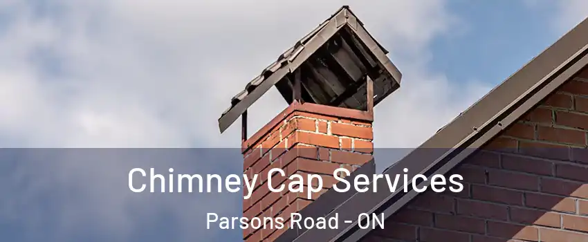  Chimney Cap Services Parsons Road - ON
