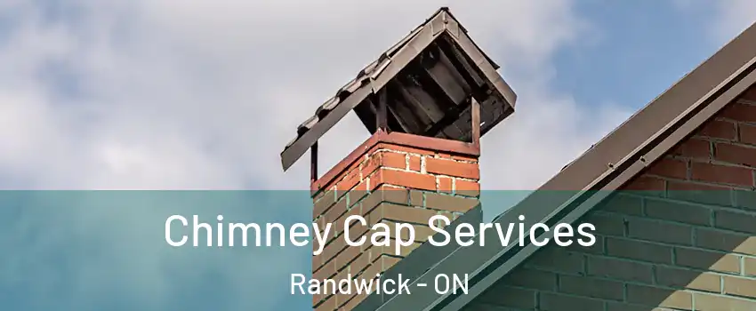  Chimney Cap Services Randwick - ON