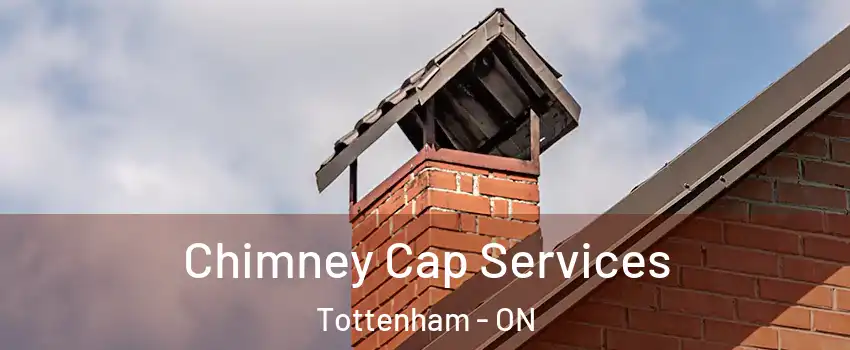  Chimney Cap Services Tottenham - ON