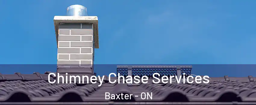  Chimney Chase Services Baxter - ON