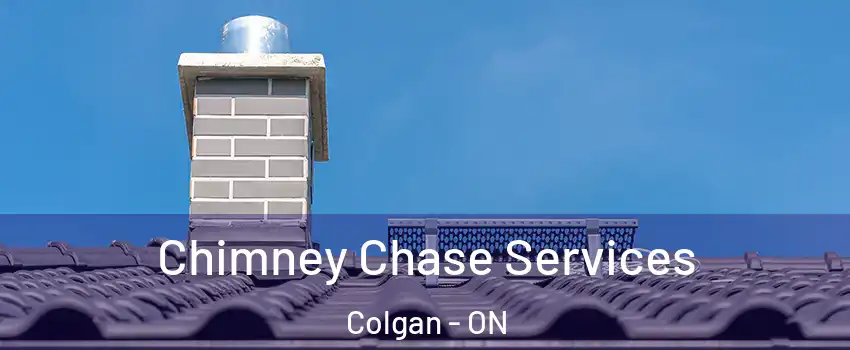  Chimney Chase Services Colgan - ON