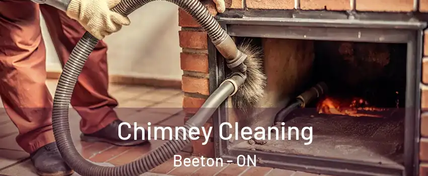  Chimney Cleaning Beeton - ON