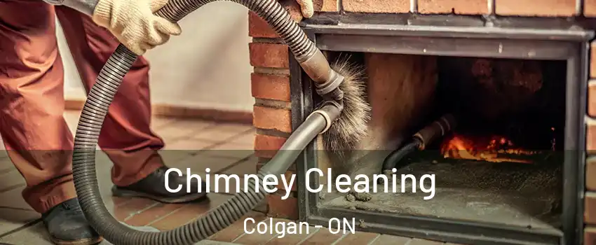  Chimney Cleaning Colgan - ON