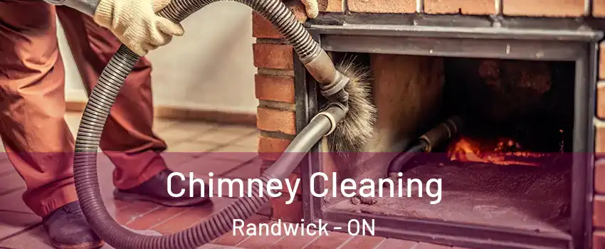  Chimney Cleaning Randwick - ON