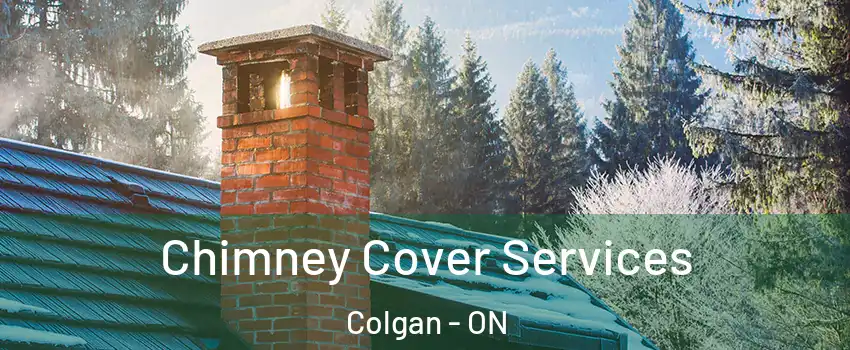  Chimney Cover Services Colgan - ON