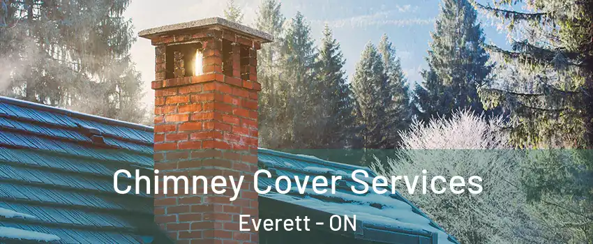  Chimney Cover Services Everett - ON