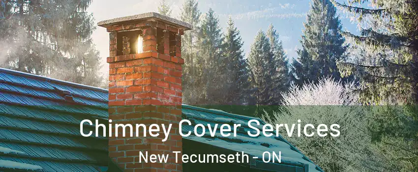  Chimney Cover Services New Tecumseth - ON