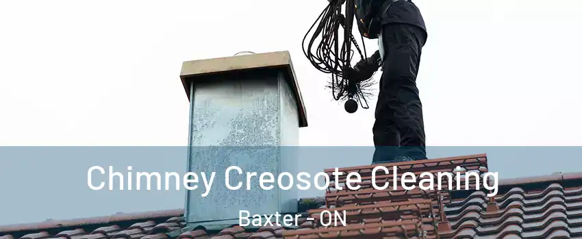  Chimney Creosote Cleaning Baxter - ON
