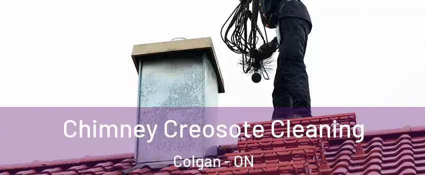  Chimney Creosote Cleaning Colgan - ON