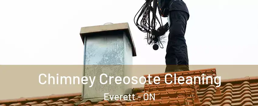  Chimney Creosote Cleaning Everett - ON