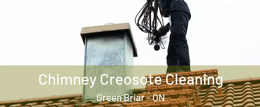  Chimney Creosote Cleaning Green Briar - ON
