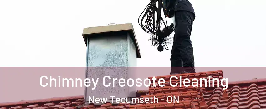  Chimney Creosote Cleaning New Tecumseth - ON