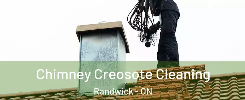  Chimney Creosote Cleaning Randwick - ON