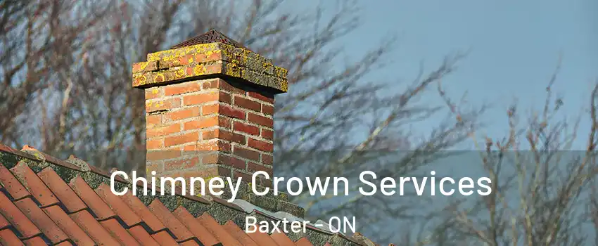  Chimney Crown Services Baxter - ON