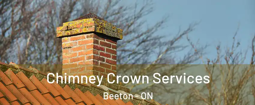  Chimney Crown Services Beeton - ON