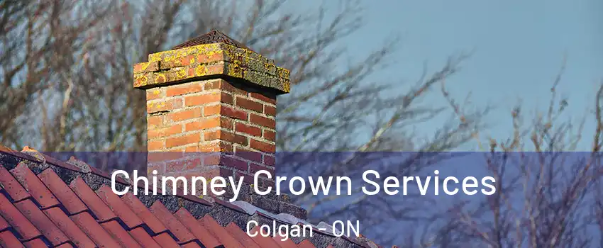  Chimney Crown Services Colgan - ON