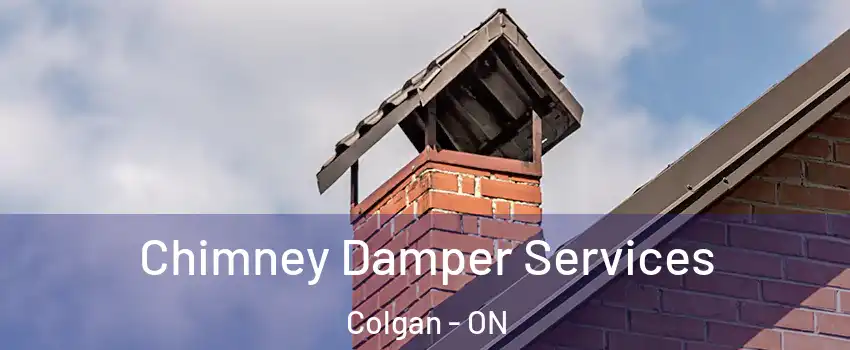  Chimney Damper Services Colgan - ON