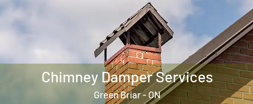  Chimney Damper Services Green Briar - ON
