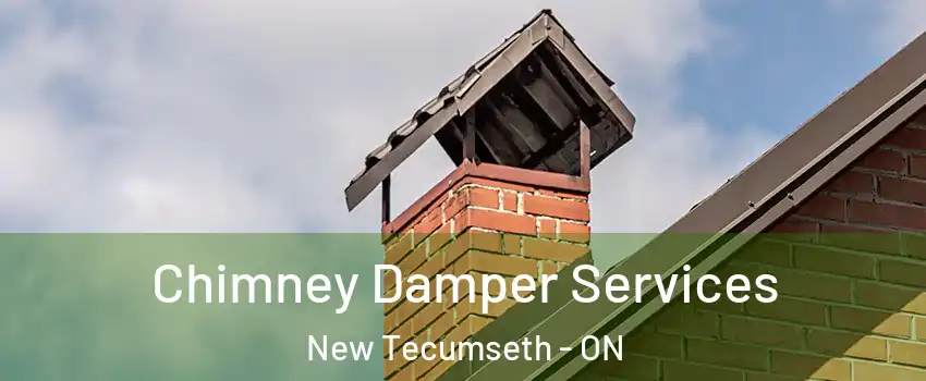  Chimney Damper Services New Tecumseth - ON
