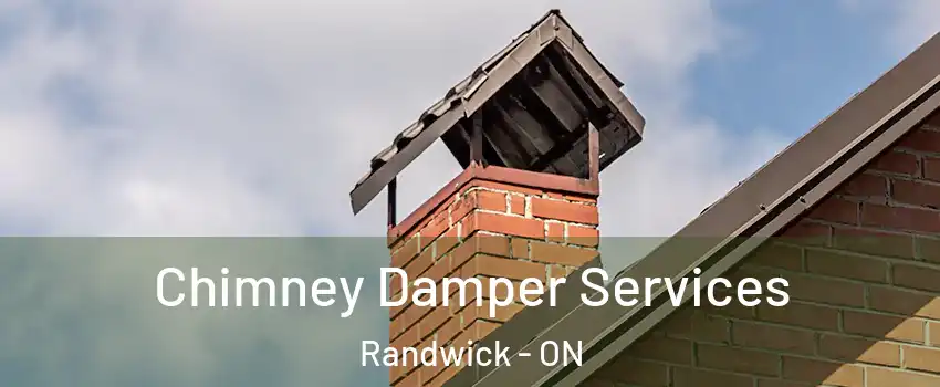  Chimney Damper Services Randwick - ON