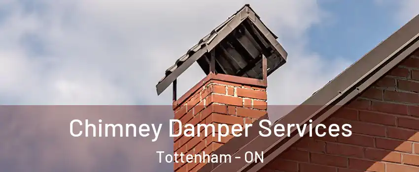  Chimney Damper Services Tottenham - ON